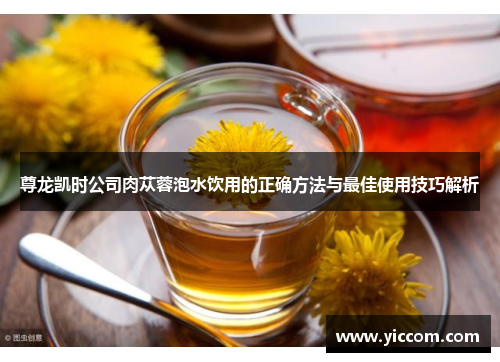 尊龙凯时公司肉苁蓉泡水饮用的正确方法与最佳使用技巧解析