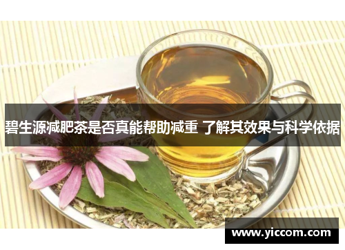 碧生源减肥茶是否真能帮助减重 了解其效果与科学依据