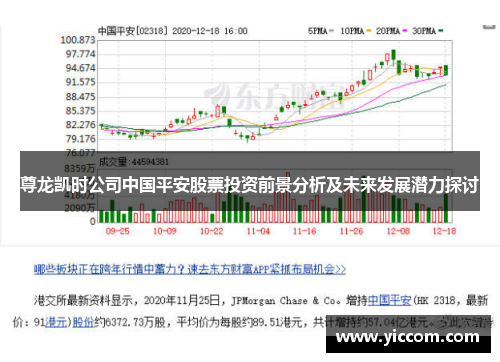 尊龙凯时公司中国平安股票投资前景分析及未来发展潜力探讨