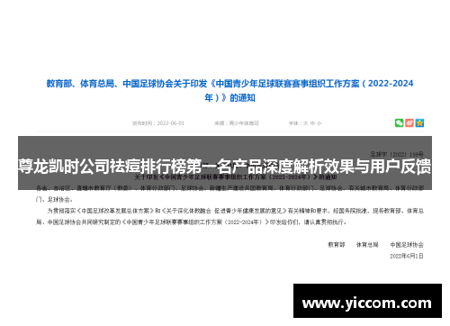 尊龙凯时公司祛痘排行榜第一名产品深度解析效果与用户反馈