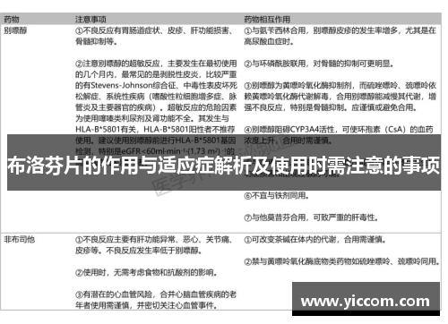 布洛芬片的作用与适应症解析及使用时需注意的事项